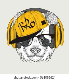 La imagen del panda en las gafas, los auriculares y el sombrero de hip-hop. Ilustración vectorial.