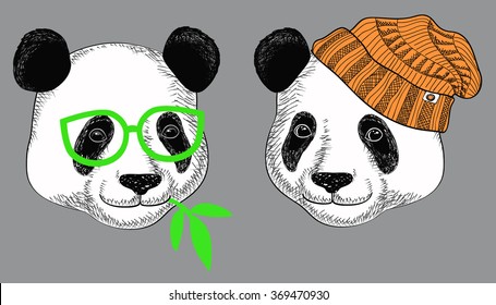 Image of panda in knitted hats and panda in glasses with bamboo leaves. Cute attractive face bear