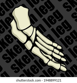 Image of a part of a human skeleton. Anatomical image. Foot of the skeleton. Vector illustration.