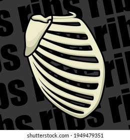 Image of a part of a human skeleton. Anatomical image. Human ribs. Vector illustration.