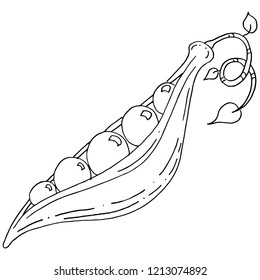 An image of a Pea Pod Plant Vegetable Plant.