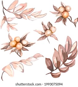 Image of peach berries. Twigs. Digital clipart. Vector