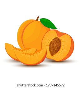 An image of a peach from different directions. Vector illustration in a flat style. Whole, half and sliced peach with bone.