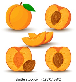 An image of a peach from different directions. Vector illustration in a flat style. Whole, half and sliced peach with bone.