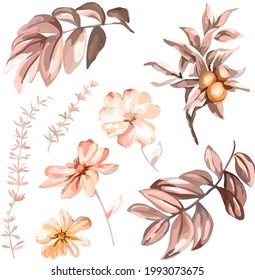 Image of peach flowers. Berries. Twigs. Digital clipart. Vector