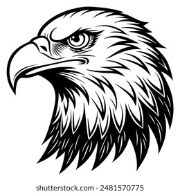 The image is a pencil drawing of the head of a bald eagle in black and white