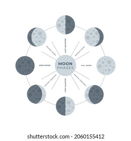 Image of the phases of the moon isolated on a white background. Full, new, waning, waxing moons. Vector stock illustration.