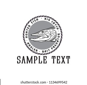 image pike fish
