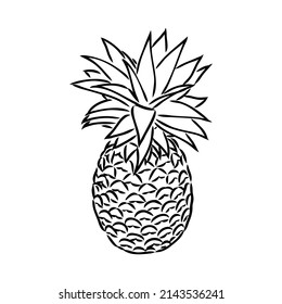 Image of pineapple fruit. Vector black and white illustration.