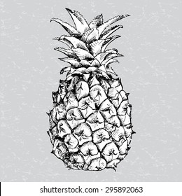 Image of pineapple fruit. Vector black and white illustration.