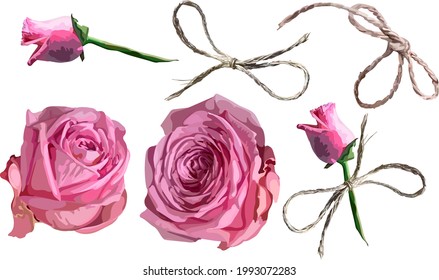 Imagen de rosas rosas rosas. Bow. Clipart digital. Vector