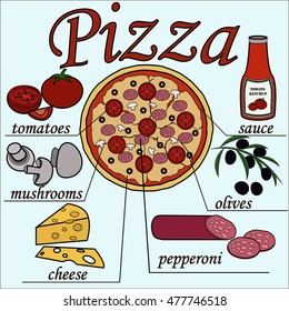 The image of pizza with ingridients from which it consist 