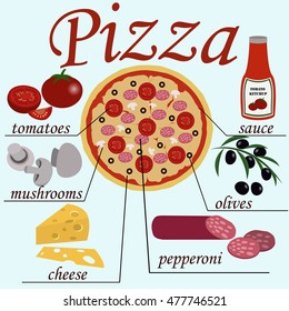 The image of pizza with ingridients from which it consist 