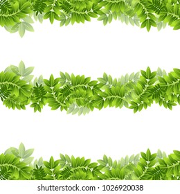 An image of Plant Leaf Leaves Green Frame Border Banner Foliage Set.