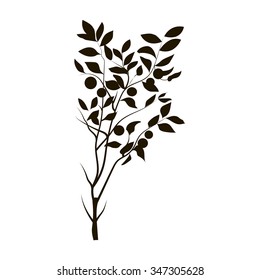 The image of plants on a white background
