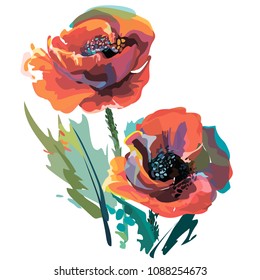 The image of poppies in color. Vector