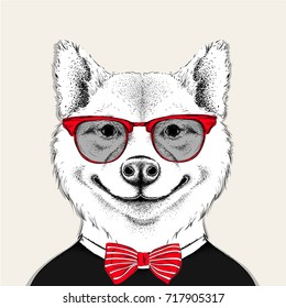 Image Portrait akita inu dog in the cravat and with glasses. Vector illustration.