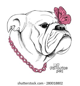 Image Portrait bulldog with butterfly. Vector illustration.