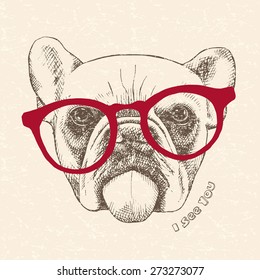 Image portrait of a bulldog with glasses. Vector illustration.