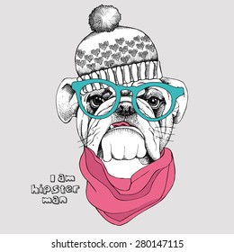 Image Portrait bulldog in knitted hat, pink cravat and green glasses. Vector illustration.