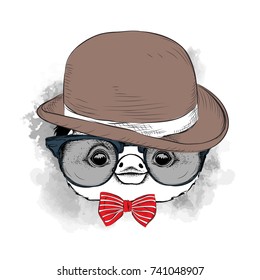 Image Portrait of cartoon penguin in the hat, cravat and glasses. Vector illustration.