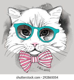Image portrait cat in the glasses and with tie. Vector illustration.