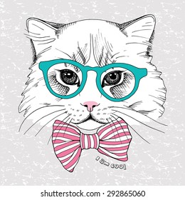 Image portrait cat in the glasses and with tie. Vector illustration.