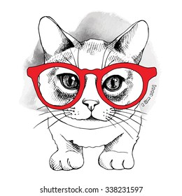 The image Portrait of  the cat in the glasses. Vector illustration.