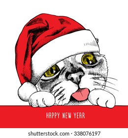 The image Portrait of the cat in the Santa's hat. Vector illustration.