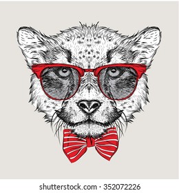 Image Portrait cheetah in the cravat and with glasses. Vector illustration.