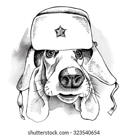 Image Portrait of a dog Basset Hound in Ushanka hat. Vector illustration.