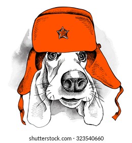 Imagen retrato de un perro Basset Hound en sombrero rojo de invierno con Ear Flaps. Ilustración vectorial.