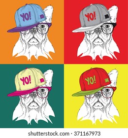 Image Portrait of dog in the glasses and in hip-hop hat. Pop art style vector illustration.