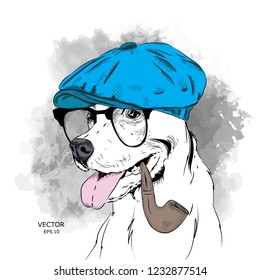 Image Portrait of dog in the hat and with tobacco pipe. Vector illustration.