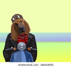 Image portrait of dog in the helmet rider,on a scooter.Great ideas for poster,banner.Vector ,illustration