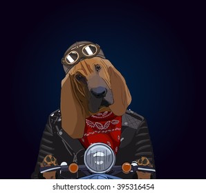 Image portrait of dog in the helmet rider,on a scooter.Great ideas for poster,banner.Vector ,illustration