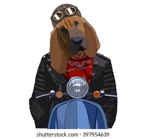 Image portrait of dog in the helmet rider,on a scooter.Great ideas for poster,banner.Vector ,illustration