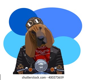 Image portrait of dog in the helmet rider,on a scooter.Great ideas for poster,banner.Vector ,illustration