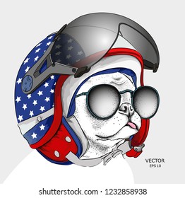 Image Portrait dog in motorcycle helmet. Vector illustration.