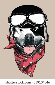 Image Portrait of a dog in a motorcyclist helmet. Vector illustration.