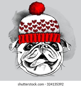 Image Portrait of a dog Pug wearing the knitted hat. Vector illustration.