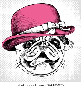 Image Portrait of a dog Pug wearing the women's hat with a bow. Vector illustration.