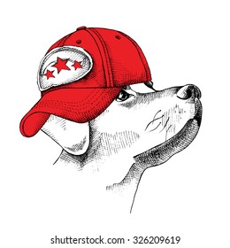 Image Portrait of a dog in red cap. Vector illustration.