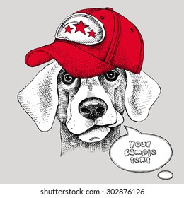 Image Portrait of a dog wearing a cap. Vector illustration.