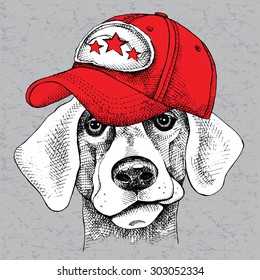 Image Portrait of a dog wearing a cap. Vector illustration.