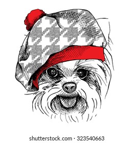 Image Portrait of a dog Yorkie in beret hat. Vector illustration.