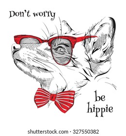 Image Portrait fox in the cravat and with glasses. Vector illustration.