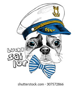 Image Portrait of French bulldog in a sailor's cap and tie. Vector illustration.