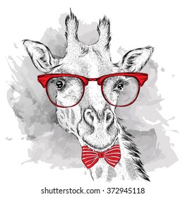Image Portrait giraffe in the cravat and with glasses. Hand draw vector illustration.