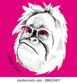 Image portrait monkey with glasses on pink background. Vector illustration.